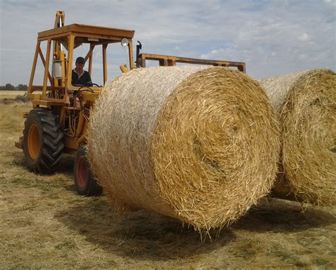 Hay for sale in California , United States - California - HayMap. . Hay bales for sale